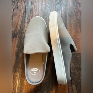 Dr. Scholl’s slides